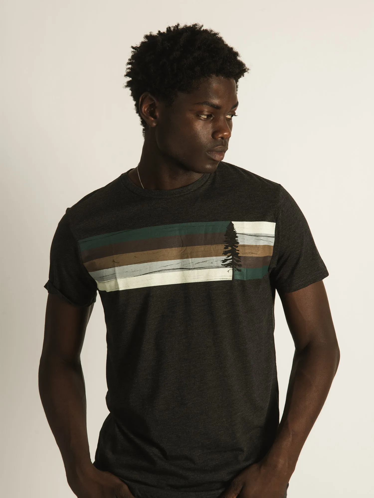 TENTREE SPRUCE STRIPE T-SHIRT